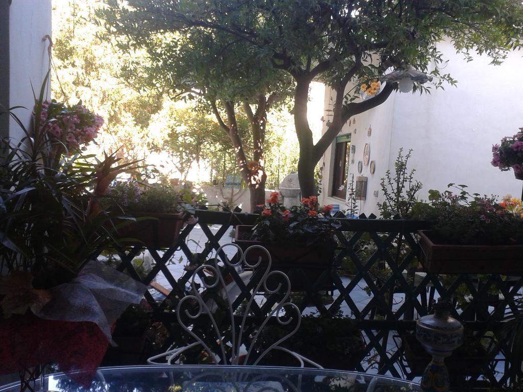 B&B Albatros Lipari (Isola Lipari) Quarto foto