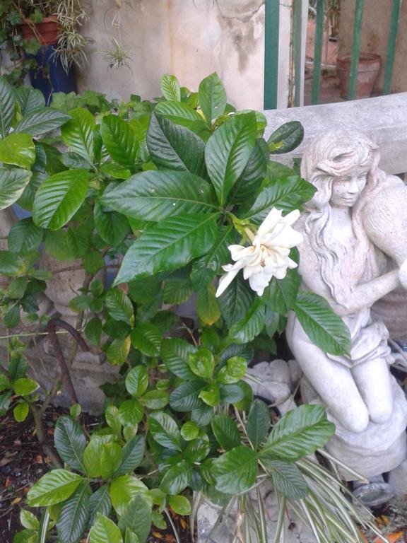 B&B Albatros Lipari (Isola Lipari) Exterior foto